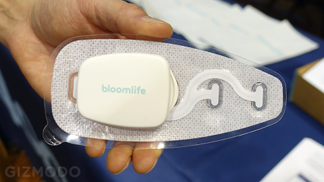 Illustration for article titled There Is Now a Wearable For Babies Before They Are Born